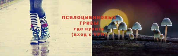 мяу мяу мука Арсеньев