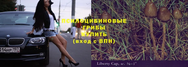 прущие грибы Армянск