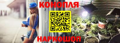 прущие крисы Лесосибирск