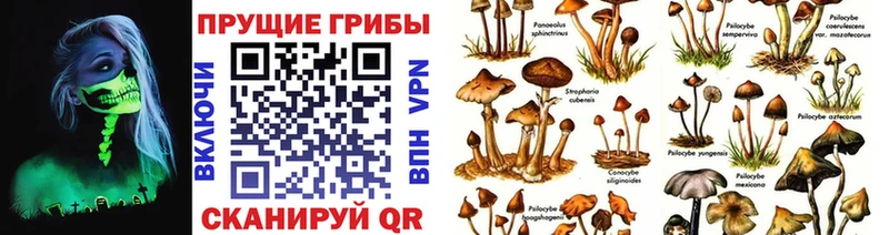 Галлюциногенные грибы мицелий  Балашов 