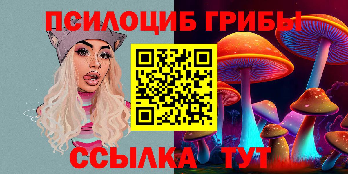 Галлюциногенные грибы Cubensis Балашов