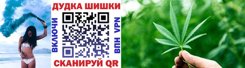 мориарти Telegram  Балашов  Бошки марихуана марихуана 